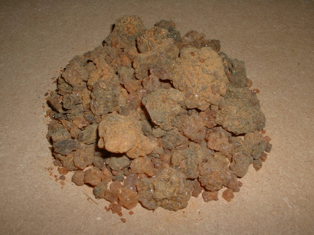 Myrrhe (Commiphora myrrha)