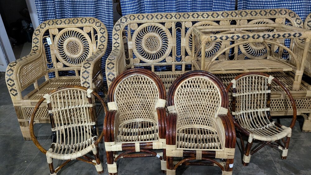 Rattan (Calamus rotang)