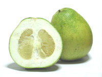 Pampelmuse (Citrus maxima)