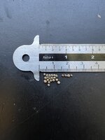 Koreanische Perilla (Perilla frutescens)