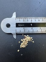 Goji-Beere (Lycium barbarum)