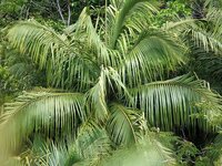 By: NABU|naturgucker CC BY 4.0