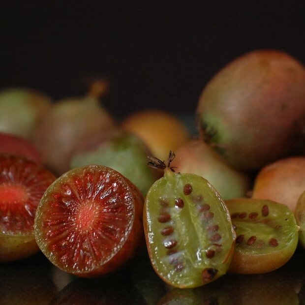 Rote Kiwi (Actinidia purpurea)