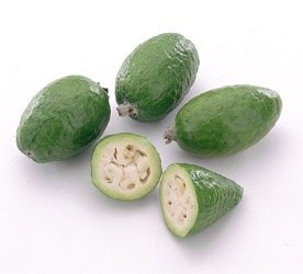 Ananasguave (Feijoa sellowiana)