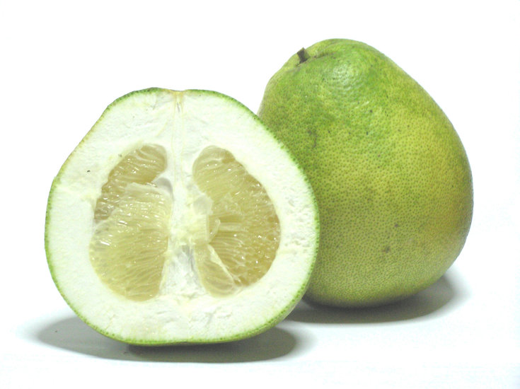 Pampelmuse (Citrus maxima)