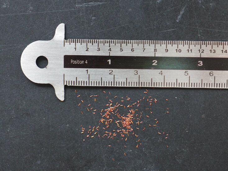 Roter Zuckergussbaum (Callistemon phoeniceus)