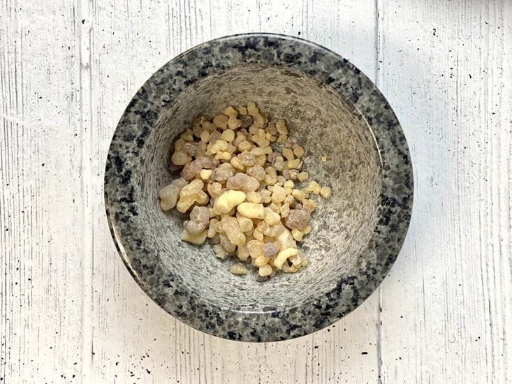 Indischer Weihrauchbaum (Boswellia serrata)