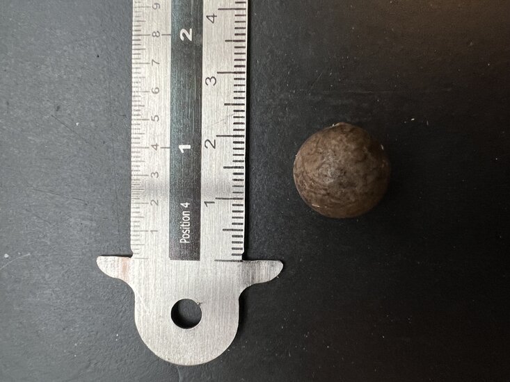 Quindio-Waspalme (Ceroxylon quindiuense)