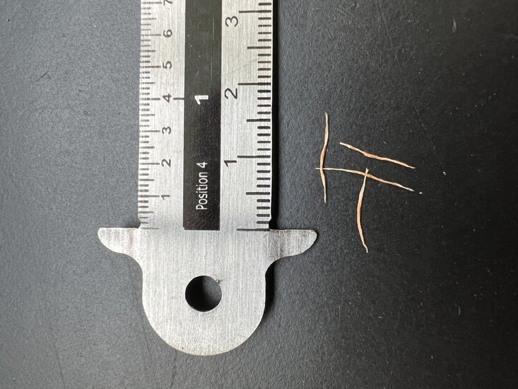 Raffles-Kannenpflanze (Nepenthes rafflesiana)