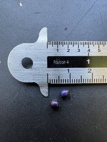 Marmorbeere (Pollia condensata)