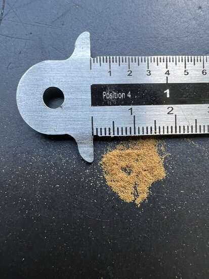 Wheki Ponga Baumfarn (Dicksonia fibrosa)