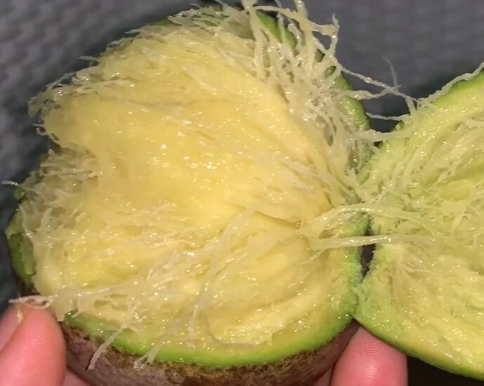 Sauer-Mango (Mangifera rufocoscata)