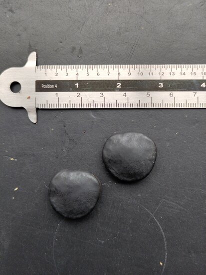 Netz-Samtbohne (Mucuna reticulata)