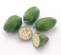 Ananasguave (Feijoa sellowiana)