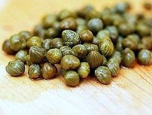 Kapernstrauch (Capparis spinosa)