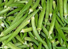 Okra (Abelmoschus esculentus)