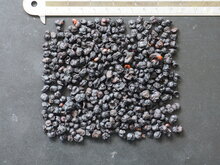 5-Geschmacks-Beere (Schisandra chinensis)