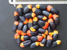 Gl&uuml;cksbohnenbaum (Afzelia quanzensis)