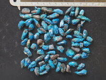 Reisendenbaum (Ravenala madagascariensis)