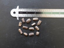 Aronstab (Amorphophallus tenuistylis)