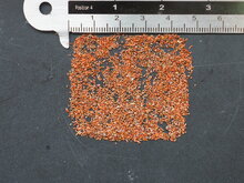 Regenbogen-Eukalyptus (Eucalyptus deglupta)