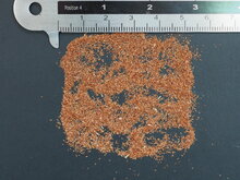 Australischer Teebaum (Melaleuca alternifolia)