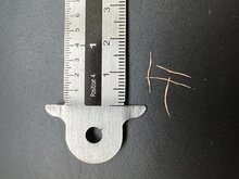 Raffles-Kannenpflanze (Nepenthes rafflesiana)