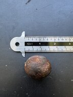 Muskatbaum (Myristica fragrans)