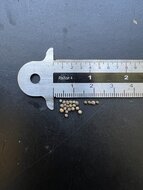 Koreanische Perilla (Perilla frutescens)