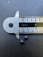 Marmorbeere (Pollia condensata)