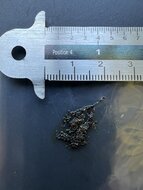 Vanille-Orchidee (Vanilla planifolia)