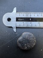 Rote Jadeblume (Mucuna bennettii)