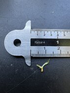 Anthurium (Anthurium bakeri)