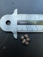 Waldpassionsblume (Passiflora morifolia)