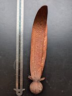 Hellrotes Meranti (Rubroshorea leprosula)