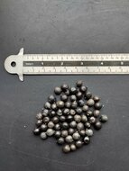 Blasenesche (Koelreuteria paniculata)