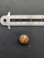 Benzoe-Baum (Styrax benzoin)