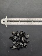 D&uuml;nen-Trichternarzisse (Pancratium maritimum)